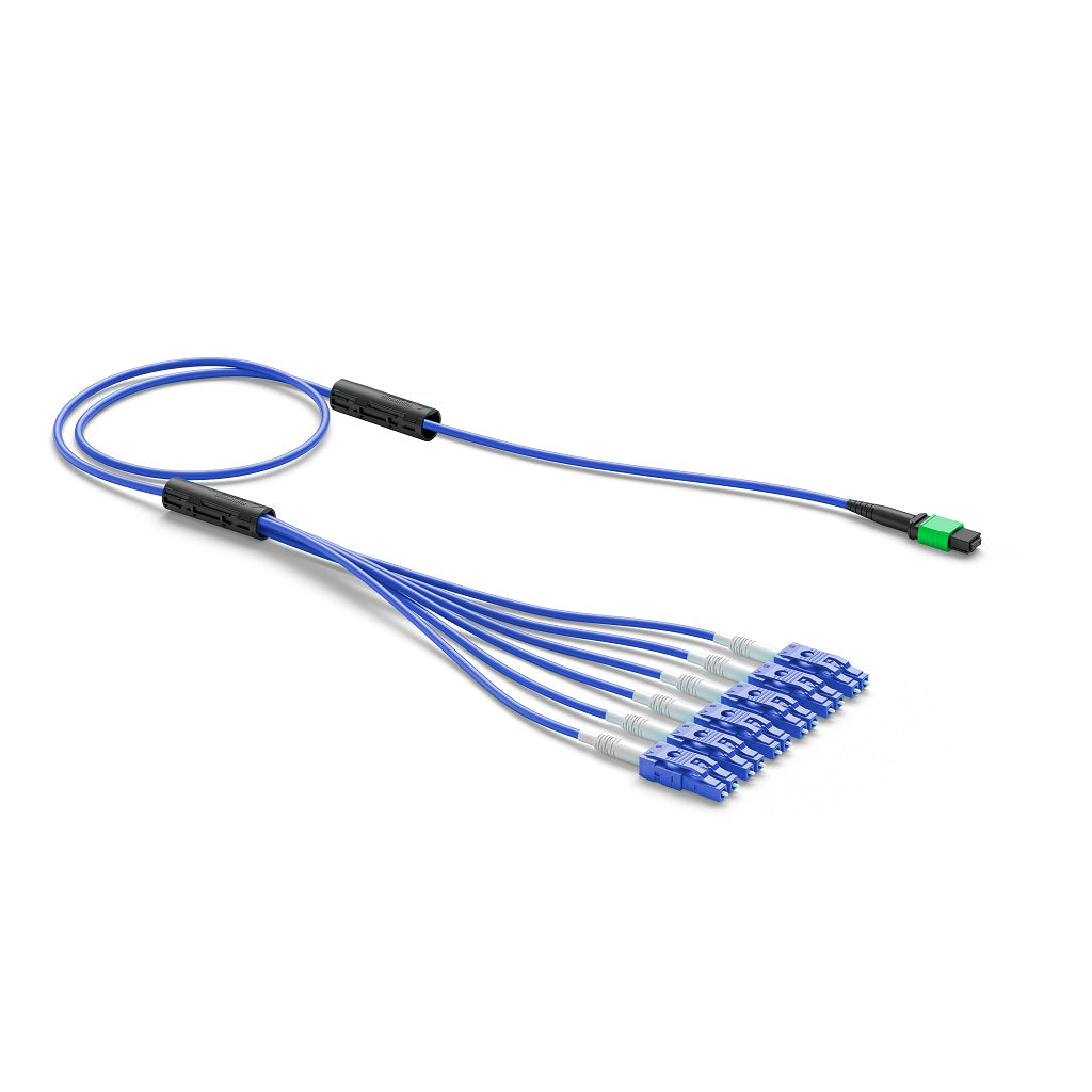 product_33904814_1