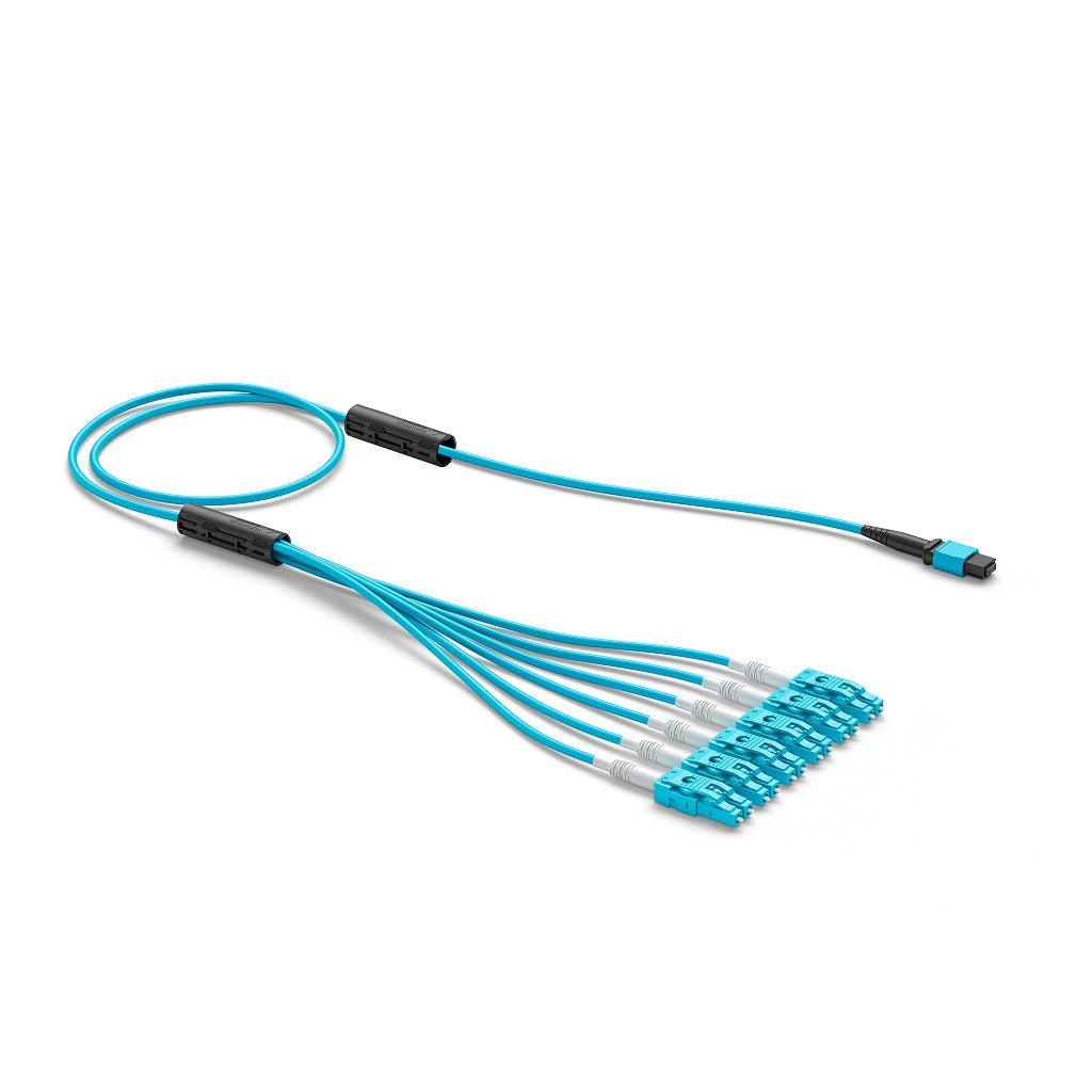 product_33904817_1
