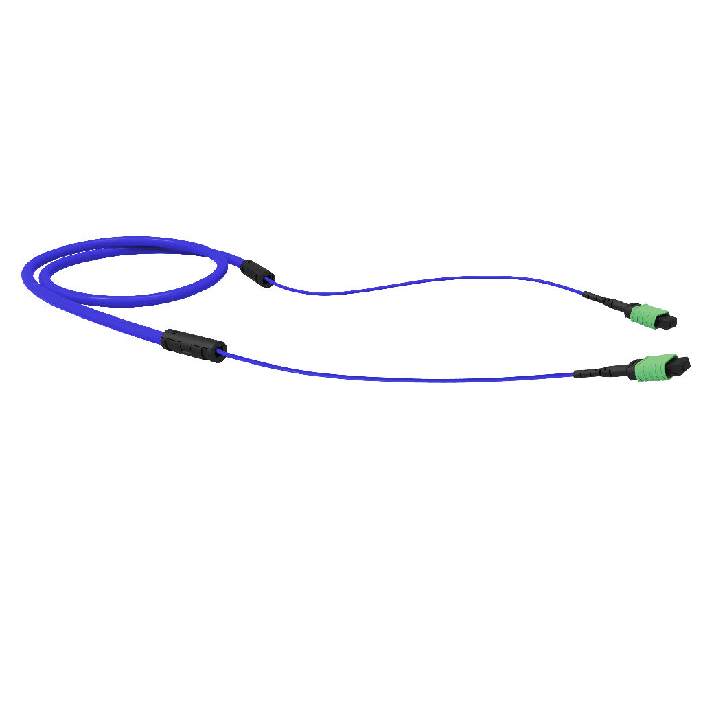 product_33902441_1