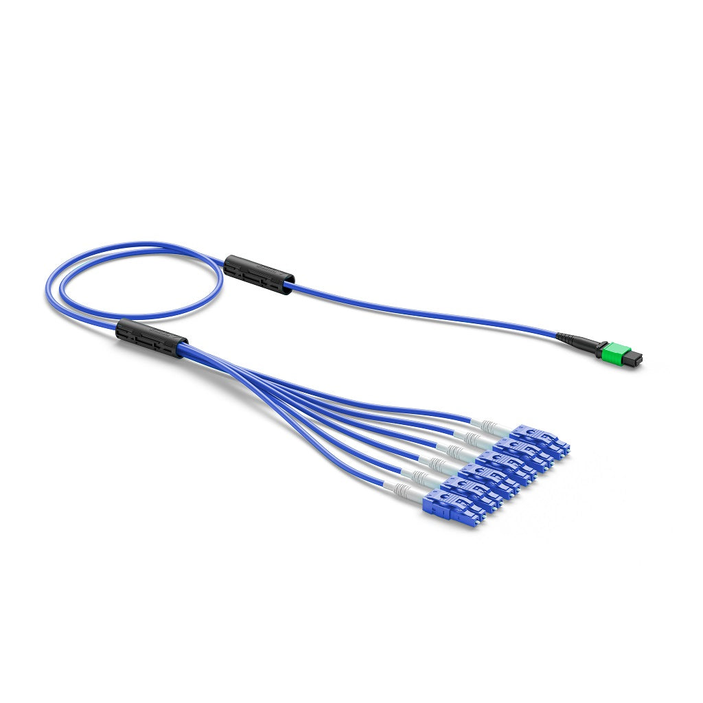 product_33904816_1